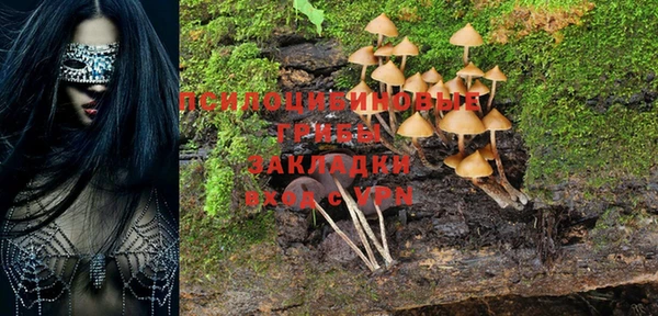 круглые Алзамай