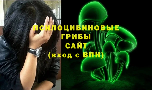круглые Алзамай